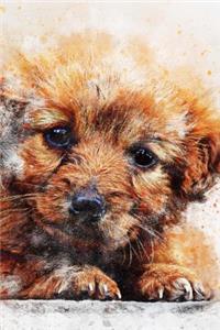 Painted Adorable Little Puppy Dog Journal