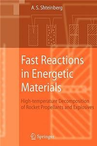 Fast Reactions in Energetic Materials