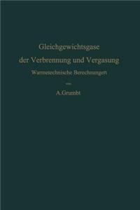 Gleichgewichtsgase Der Verbrennung Und Vergasung