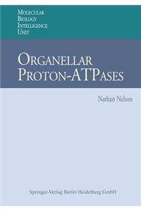 Organellar Proton-Atpases