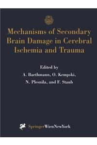 Mechanisms of Secondary Brain Damage in Cerebral Ischemia and Trauma