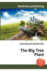 The Big Tree Plant
