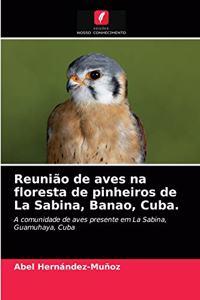 Reunião de aves na floresta de pinheiros de La Sabina, Banao, Cuba.