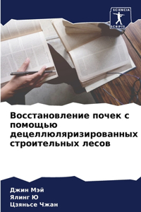 Восстановление почек с помощью децеллюля