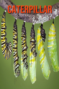 Caterpillar