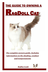 The Guide to Owning a Ragdoll Cat