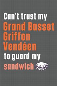 Can't trust my Grand Basset Griffon Vendéen to guard my sandwich
