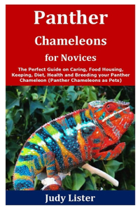 Panther Chameleons for Novices