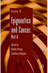 Epigenetics and Cancer
