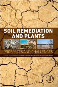 Soil Remediation and Plants