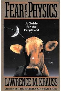 Fear of Physics: A Guide for the Perplexed