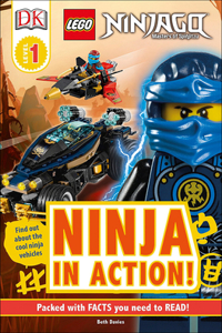 Lego Ninjago Ninja in Action