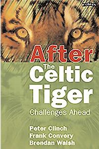 After the Celtic Tiger
