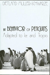 Behavior of Penguins