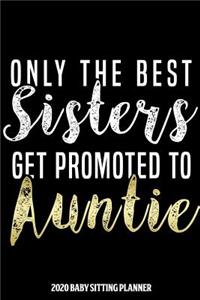 Auntie 2020 Baby Sitting Planner