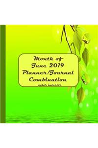 Month of June 2019 Planner/Journal Combination