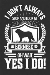 I Don't Always Stop and Look At Bernese OH Wait, Yes I Do!