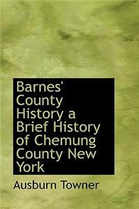 Barnes' County History: A Brief History of Chemung County New York