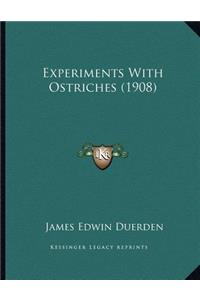 Experiments With Ostriches (1908)