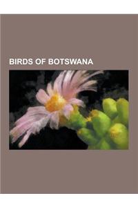 Birds of Botswana: Ostrich, List of Birds of Botswana, Common Waxbill, Lesser Flamingo, African Fish Eagle, Greater Flamingo, Goliath Her