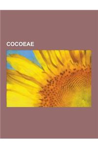 Cocoeae: Acrocomia, Aiphanes, Astrocaryum, Attalea, Bactris, Beccariophoenix, Butia, Desmoncus, Elaeis, Parajubaea, Syagrus, Co