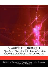 A Guide to Drought Including Its Types, Causes, Consequences, and More