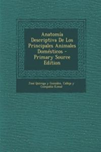 Anatomía Descriptiva De Los Principales Animales Domésticos - Primary Source Edition
