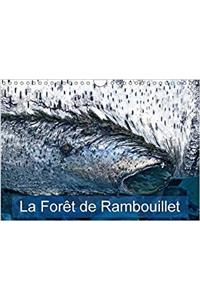 Foret De Rambouillet 2017