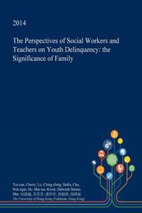 The Perspectives of Social Workers and Teachers on Youth Delinquency
