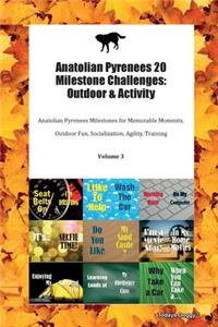 Anatolian Pyrenees 20 Milestone Challenges