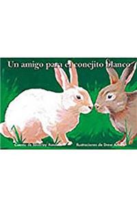 Un Amigo Para El Conejito Blanco (a Friend for Little White Rabbit)