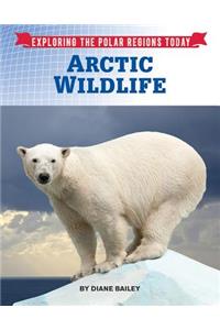 Arctic Wildlife