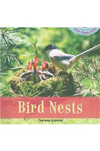 Bird Nests