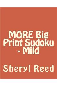 MORE Big Print Sudoku - Mild