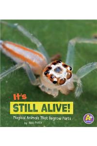 Magical Animals its Still Alive Magical Animals That Regrow Parts