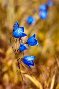 Blue Round Leaved Bellflower Journal