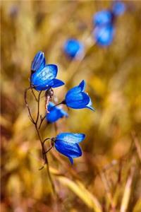 Blue Round Leaved Bellflower Journal