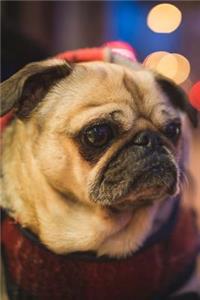 Dearest Pug Puppy Dog Journal