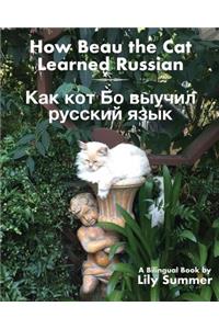 How Beau the Cat Learned Russian