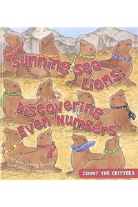 Sunning Sea Lions