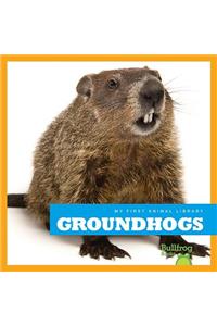 Groundhogs