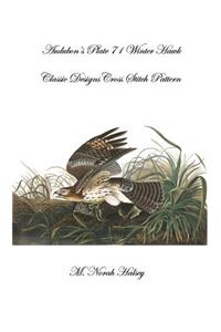 Audubon's Plate 71 Winter Hawk