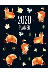 Katze Planer 2020