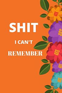 Shit I Can't Remember