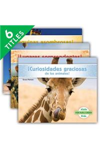 Ver Para Creer (Seeing Is Believing) (Set)