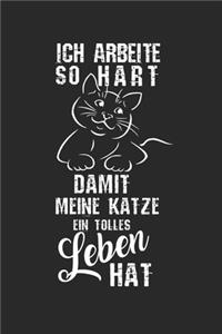 I work so hard for my cat to have a better life!