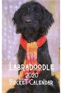 Labradoodle 2020 Pocket Calendar
