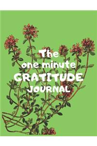 The one minute gratitude journal