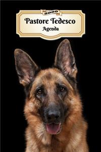 2020 Pastore Tedesco Agenda