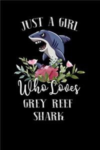 Just a Girl Who Loves Grey Reef Shark